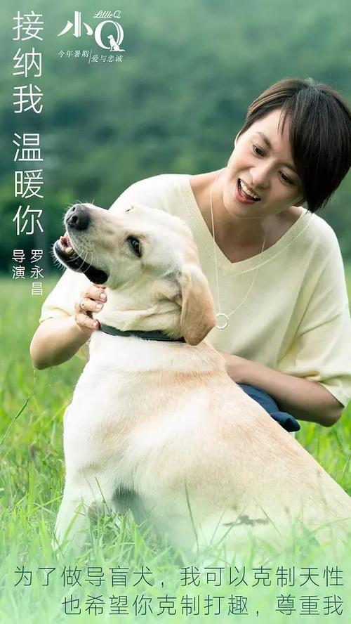 伯里亚学院 Design degree certificate